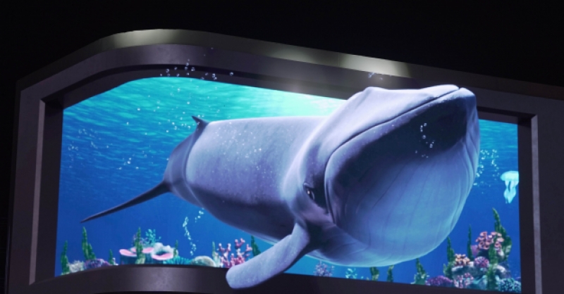 在金沙灘啤酒城，那些讓你眼前一亮的驚喜