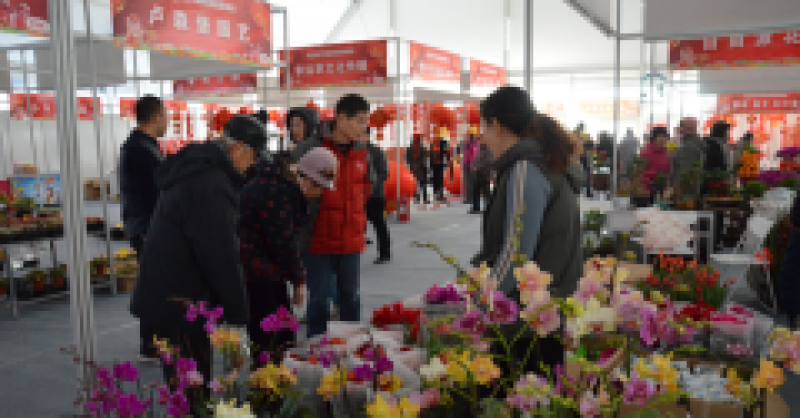 太火爆！金沙灘啤酒城春節(jié)國(guó)際商品展銷會(huì)延期三天