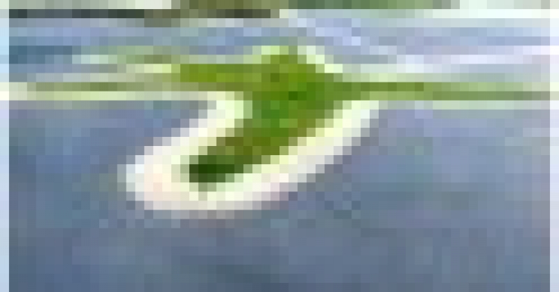 城市陽臺榮膺“青島市園林綠化精品工程”稱號